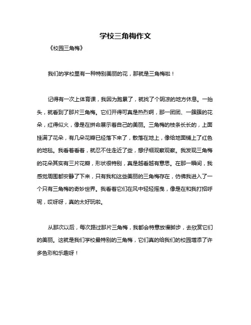 学校三角梅作文