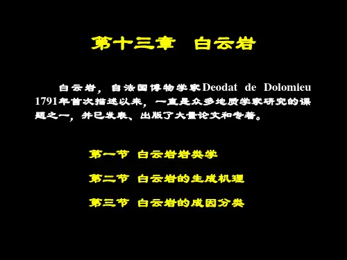 13.第十三章  白云岩