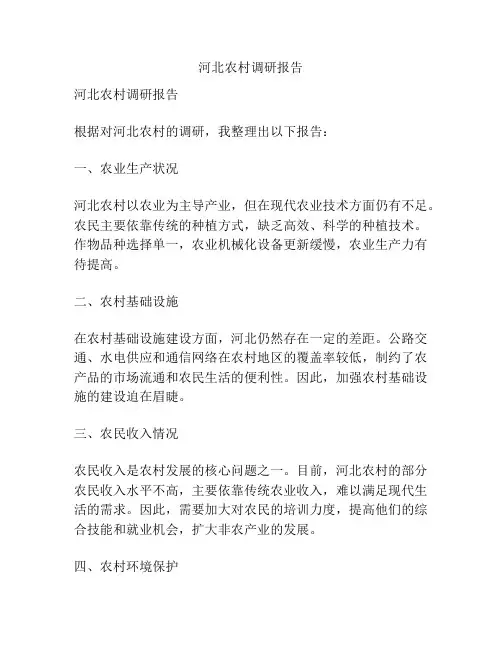 河北农村调研报告