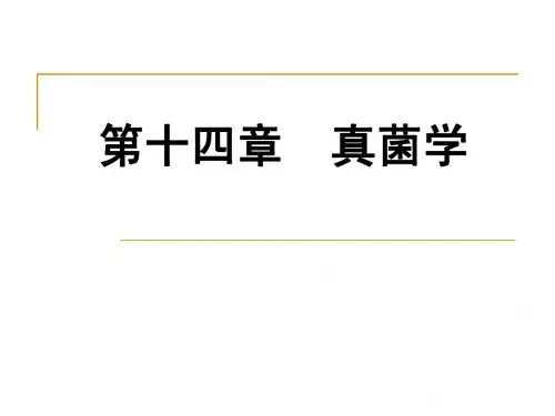 第十四章 1-真菌学总论