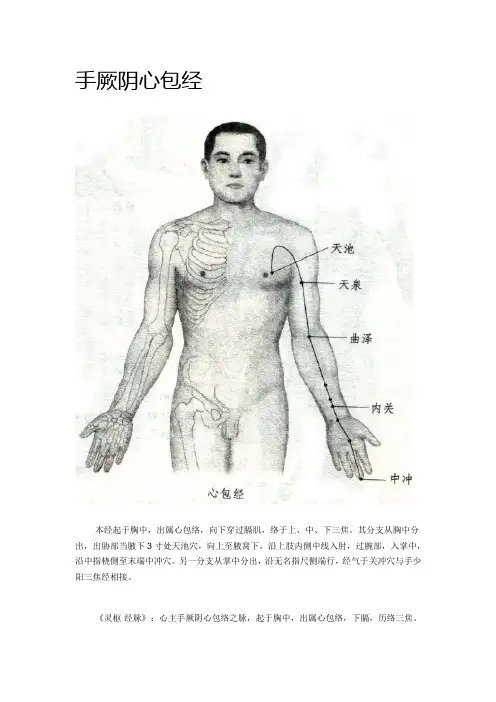 手厥阴心包经