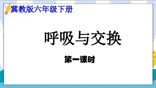 最新冀教版六年级科学下册_《呼吸与交换》第1课时精品课件