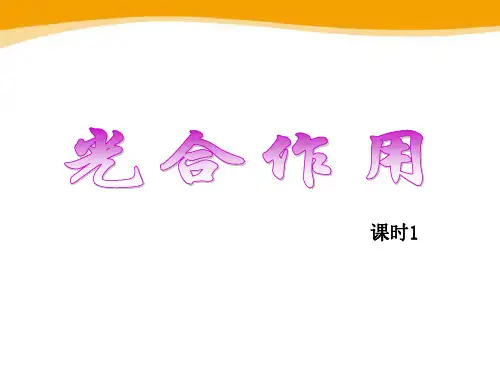 光合作用课件(北师大版)