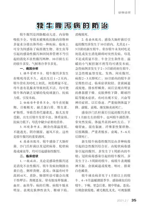犊牛腹泻病的防治