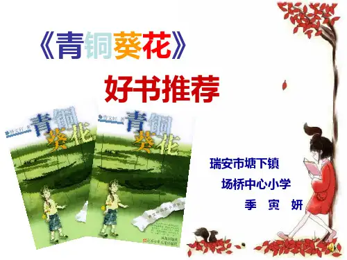 青铜葵花—好书推荐PPT课件
