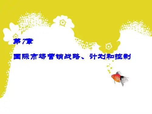 国际市场营销战略、计划和控制培训(PPT 48页)