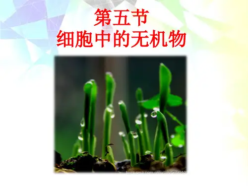 高中生物2.5细胞中的无机物优秀课件