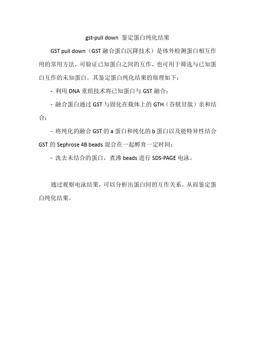 gst-pull down 鉴定蛋白纯化结果