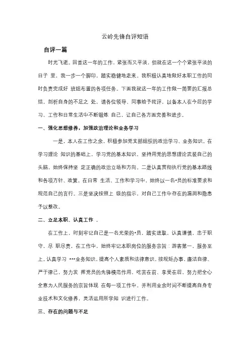 云岭先锋自评短语