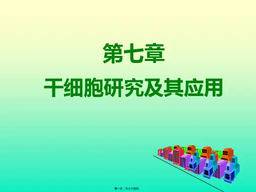 干细胞研究及其应用概况