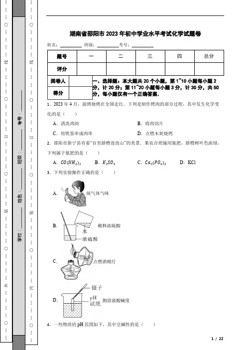 湖南省邵阳市2023年初中学业水平考试化学试题卷