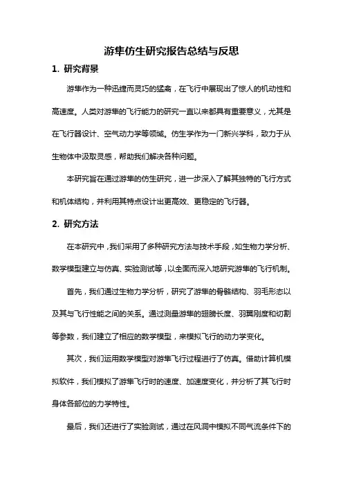 游隼仿生研究报告总结与反思