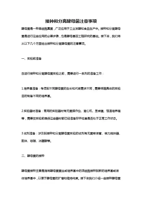 接种和分离酵母菌注意事项