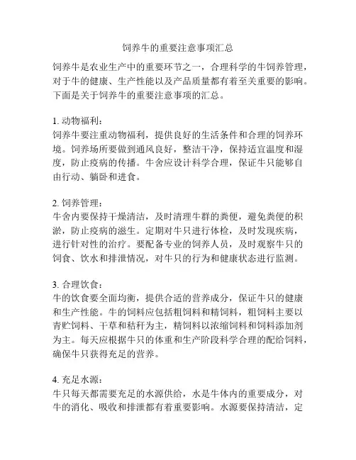 饲养牛的重要注意事项汇总
