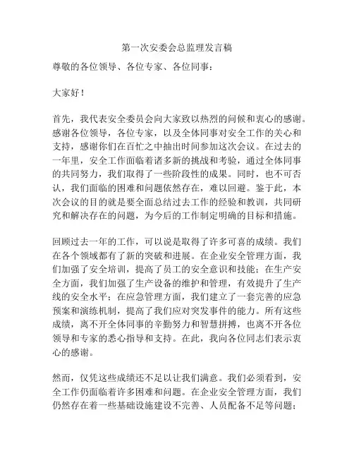 第一次安委会总监理发言稿