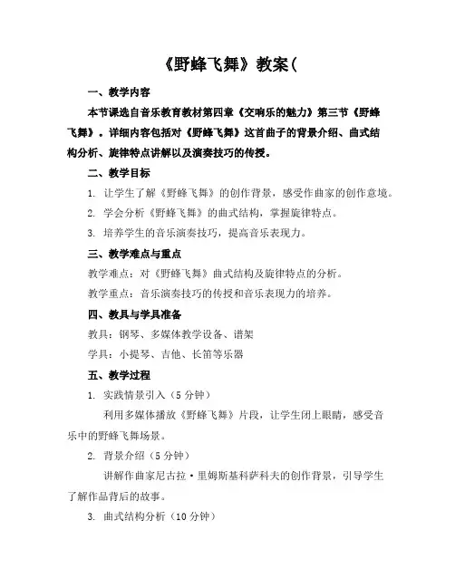 《野蜂飞舞》教案(