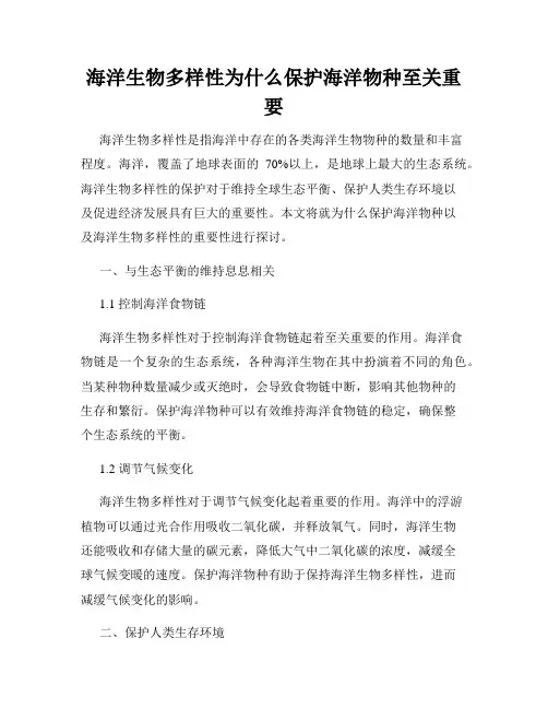海洋生物多样性为什么保护海洋物种至关重要