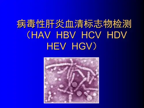 肝炎标志物讲解