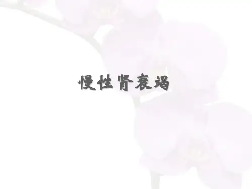 慢性肾衰竭 ppt课件