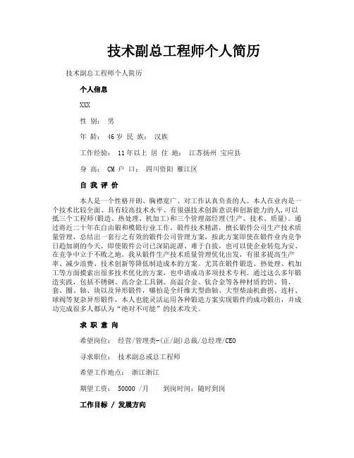 技术副总工程师个人简历