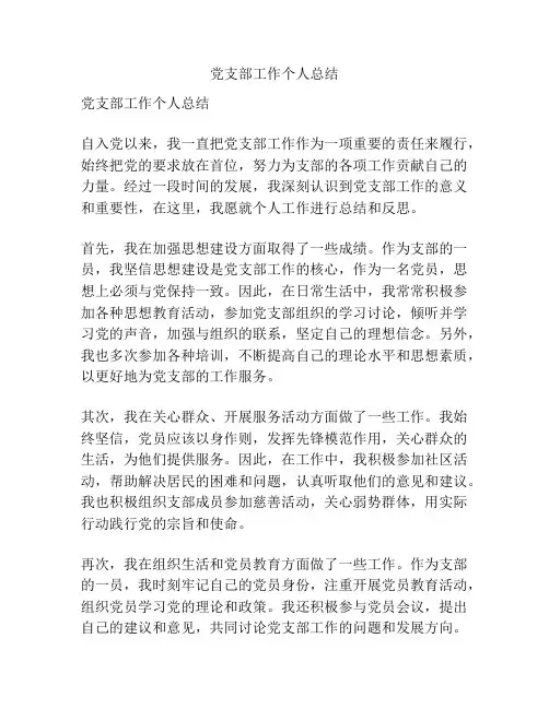 党支部工作个人总结