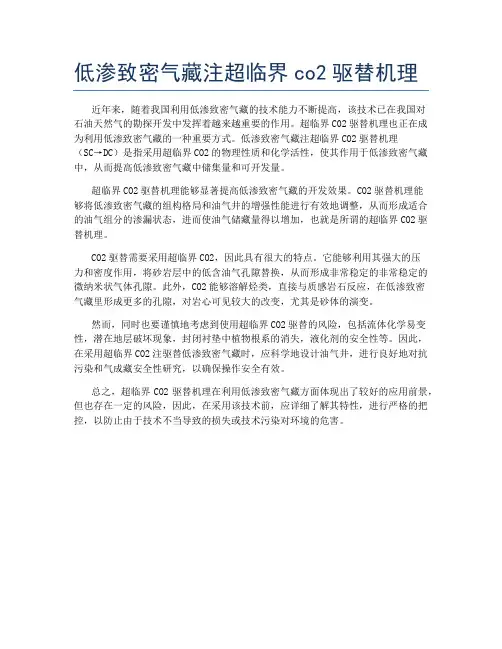 低渗致密气藏注超临界co2驱替机理