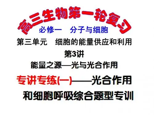 【决战2014高考—新课标】生物一轮复习课件：1.3.4细胞呼吸与光合作用综合应用专题