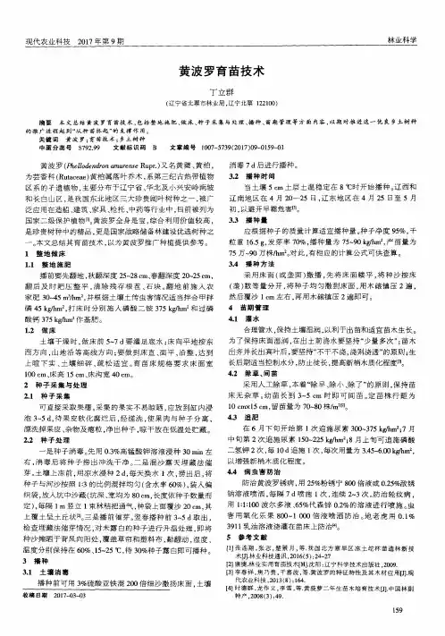 黄波罗育苗技术