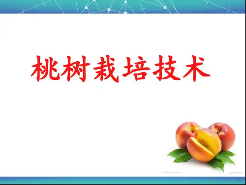 桃树栽培技术 ppt课件