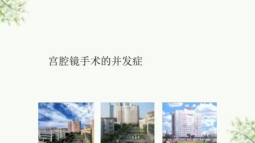 宫腔镜手术的并发症及护理措施ppt课件