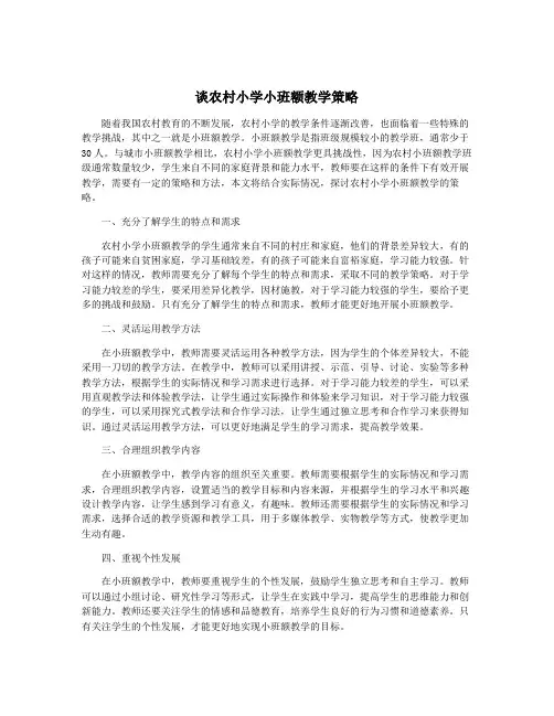 谈农村小学小班额教学策略