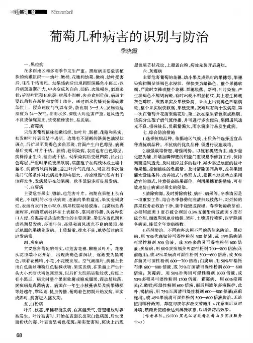 葡萄几种病害的识别与防治