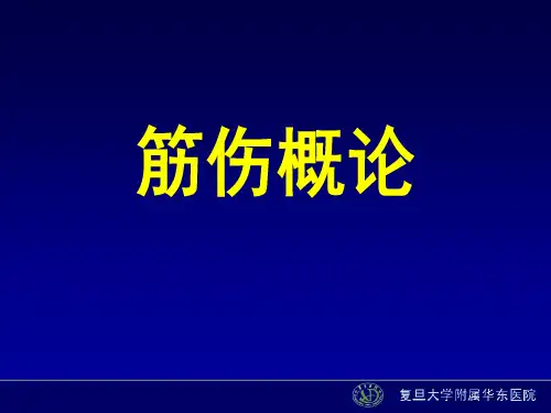大学生精品课件：筋伤概论