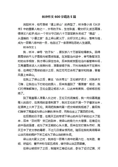 林冲作文600字精选5篇