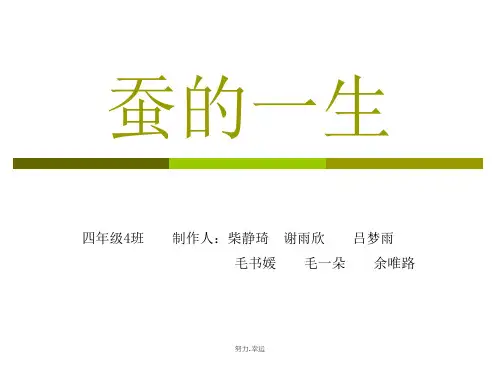 蚕的一生概述演示课件.ppt