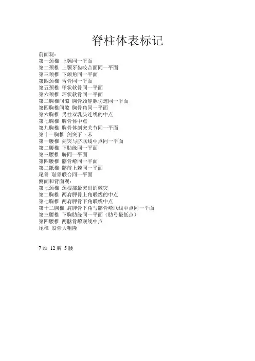 脊柱体表标记