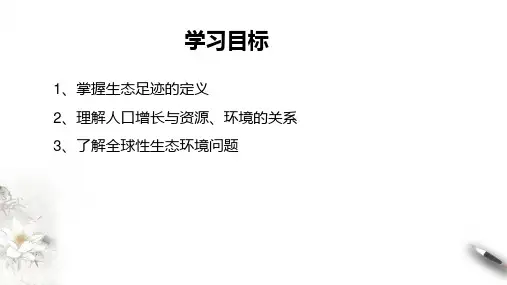 4.1 人类活动对生态环境的影响课件高二上学期生物人教版选择性必修2