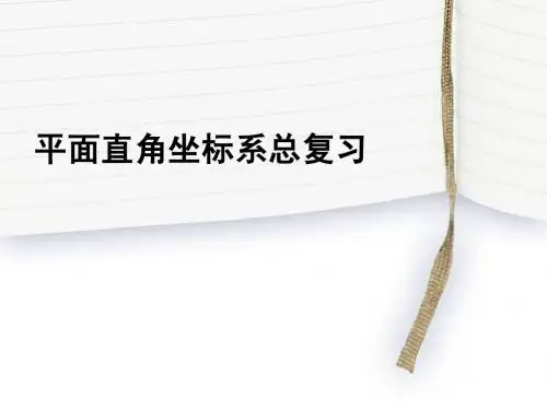 平面直角坐标系总复习