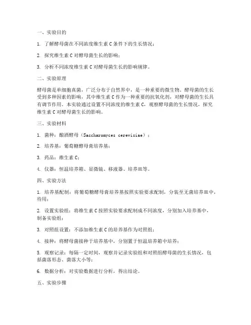 实验报告实验设计