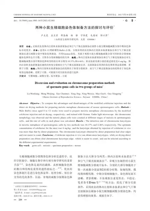 两种小鼠生精细胞染色体制备方法的探讨与评价