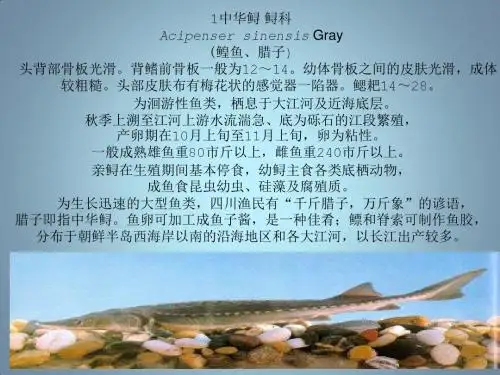 淡水鱼图集.