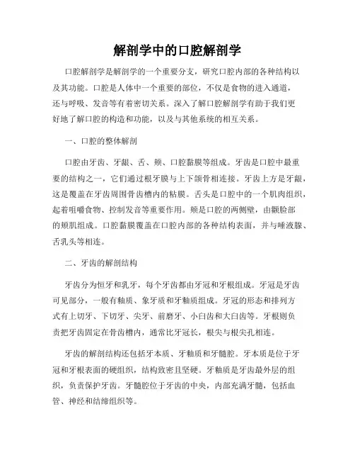 解剖学中的口腔解剖学