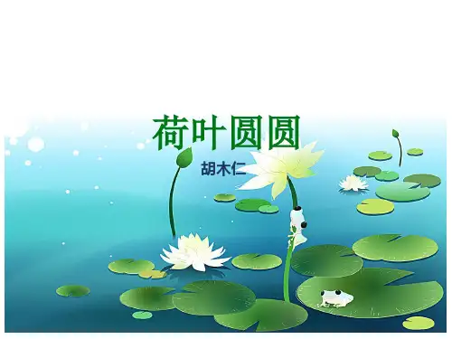 一年级下册《荷叶圆圆》 PPT优质课件8部编版