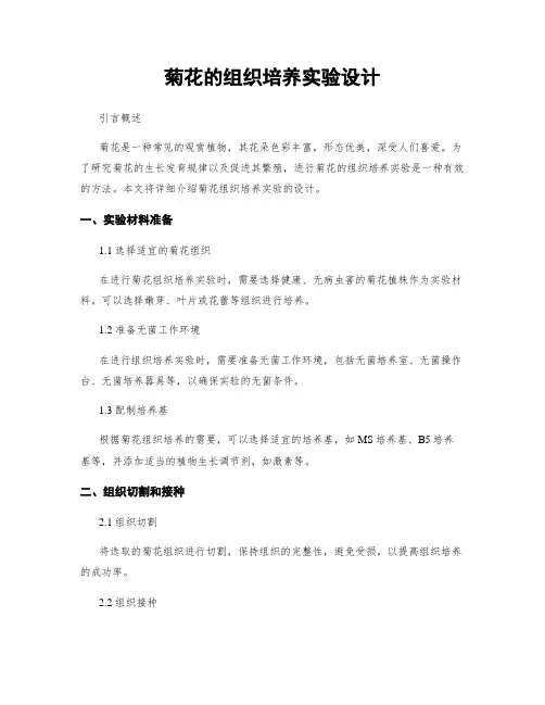 菊花的组织培养实验设计