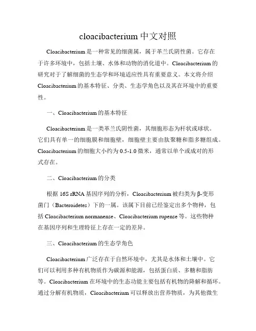 cloacibacterium中文对照