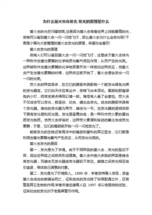 为什么萤火虫会发光发光的原理是什么