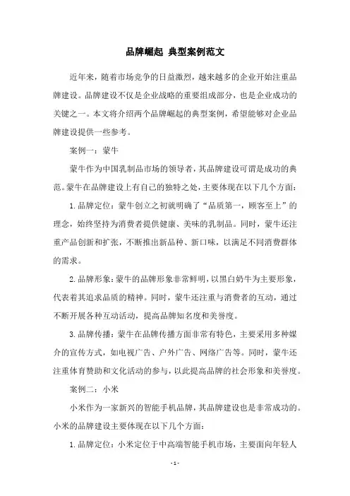 品牌崛起 典型案例范文