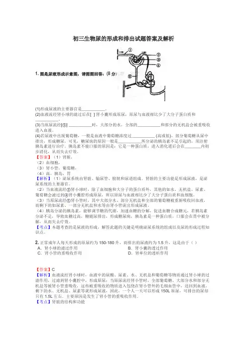 初三生物尿的形成和排出试题答案及解析
