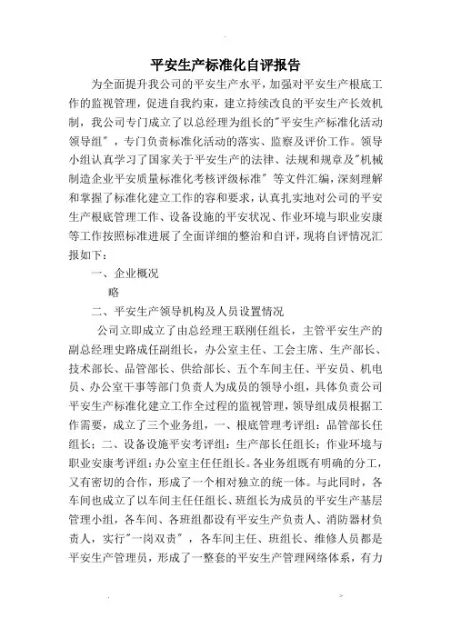 标准化自评报告范本
