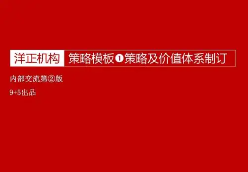 广告策略模板：策略及价值体系制订54页
